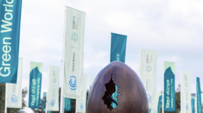 COP29 kicked off in Baku on 11 November.