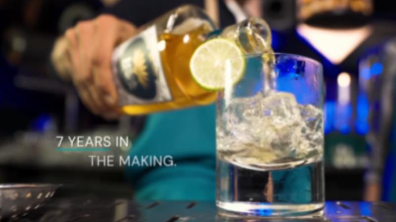 Loca Loka's '100 or Nothing' campaign.