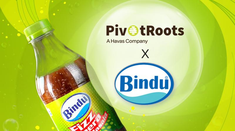 Bindu and PivotRoots logos