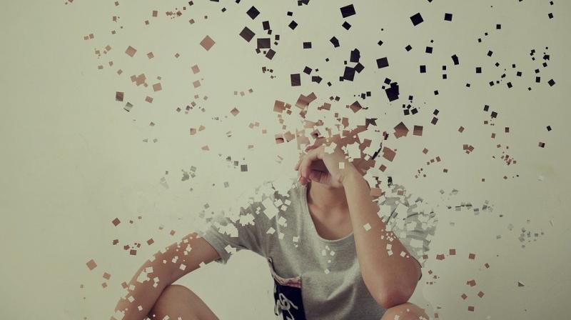 Image by 52Hertz from Pixabay