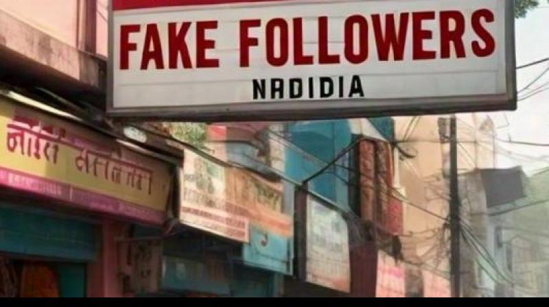 Fake Followers 