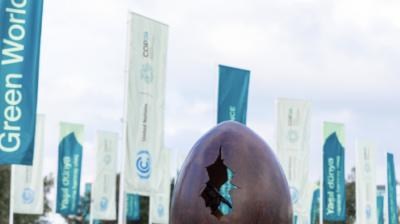 COP29 kicked off in Baku on 11 November.