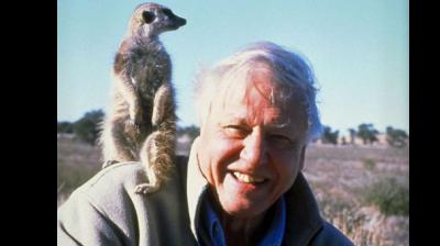 David Attenborough