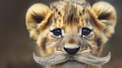 Cannes Lions 2025 will be held between 16-20 June.