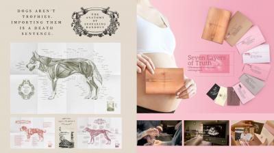 Famous Innovations' entries for Cannes