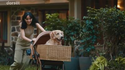 Dorset Industries' ‘Every door deserves a Dorset’ campaign