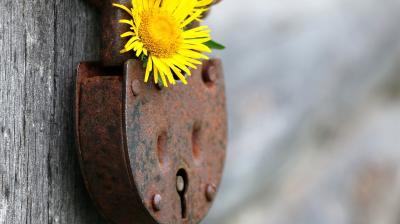 Picture courtesy: Pixabay